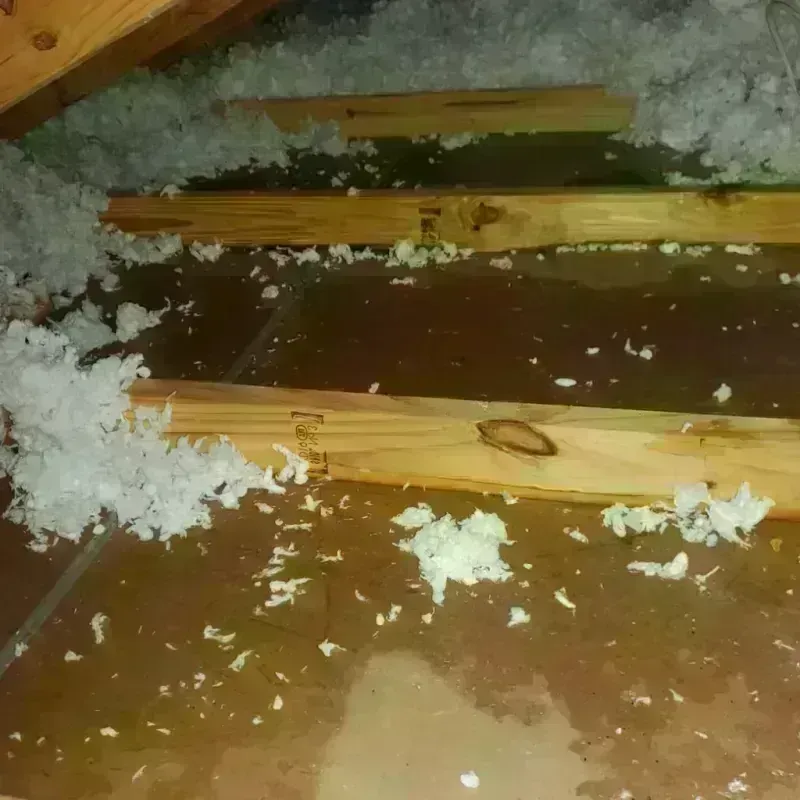 Attic Water Damage in Ross County, OH