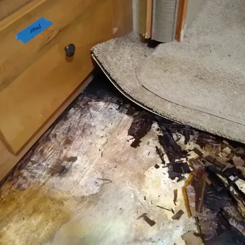 Wood Floor Water Damage in Ross County, OH